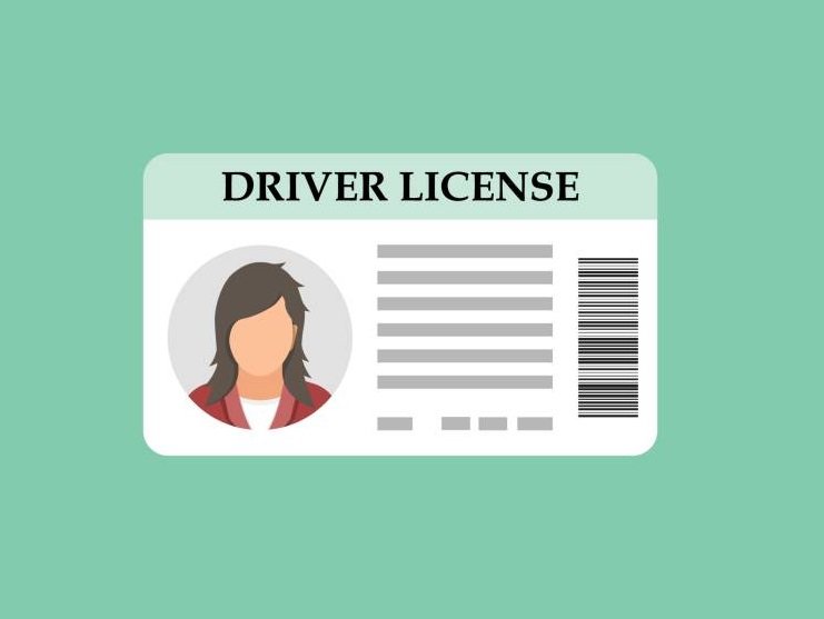 Driving License Extract (FT)
